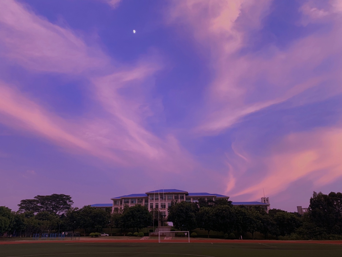 190365手机摄影魔幻的校园