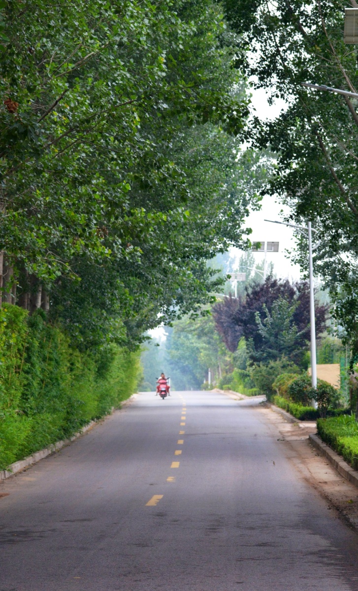 农村宽敞的马路