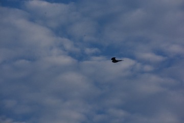 4142672