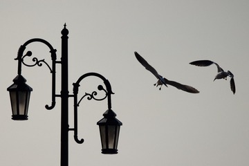72A08015-0DD5-463F-96D9-B0029C9D3CA5/L0/001
