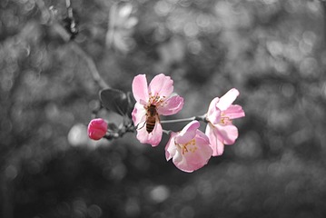 C305CAF4-C073-4708-A777-2B136FBB8BD8/L0/001