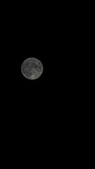 37013CA9-BA03-4C08-8313-EDDDAF0F5B10/L0/001