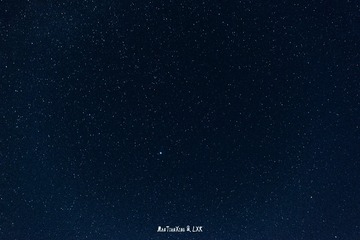 17004