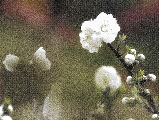 1019037