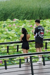D85D9139-66A1-4CBC-9DDE-440B0700FD20/L0/001