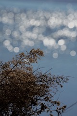 C38CE6E3-7B52-47B5-B9AB-F70841FF9069/L0/001