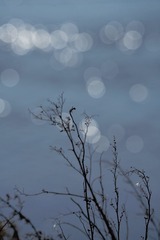 D2C0C4F8-C8E2-4F18-B41C-0A2D5DFFEDFB/L0/001