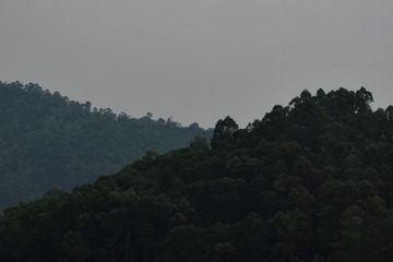 1FE226A4-F694-4F76-B4D7-695167D38C78/L0/001