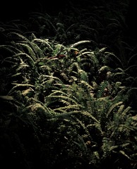 C84FB245-81BF-4576-B1E6-6D194FACDC0B/L0/001