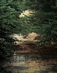 A0AB3426-A116-4F5E-A122-607957C18BF6/L0/001