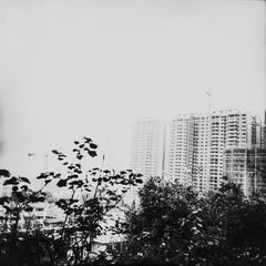 1350288