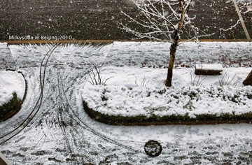 雪痕