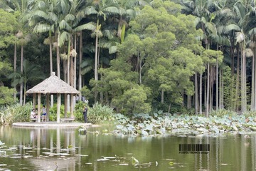 Resized_DSC_4508