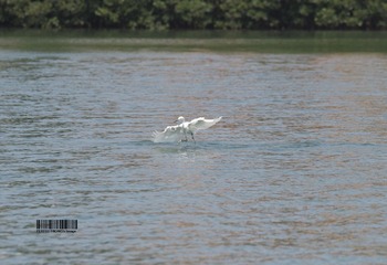 Resized_DSC_4648