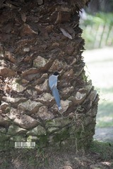 Resized_DSC_4699