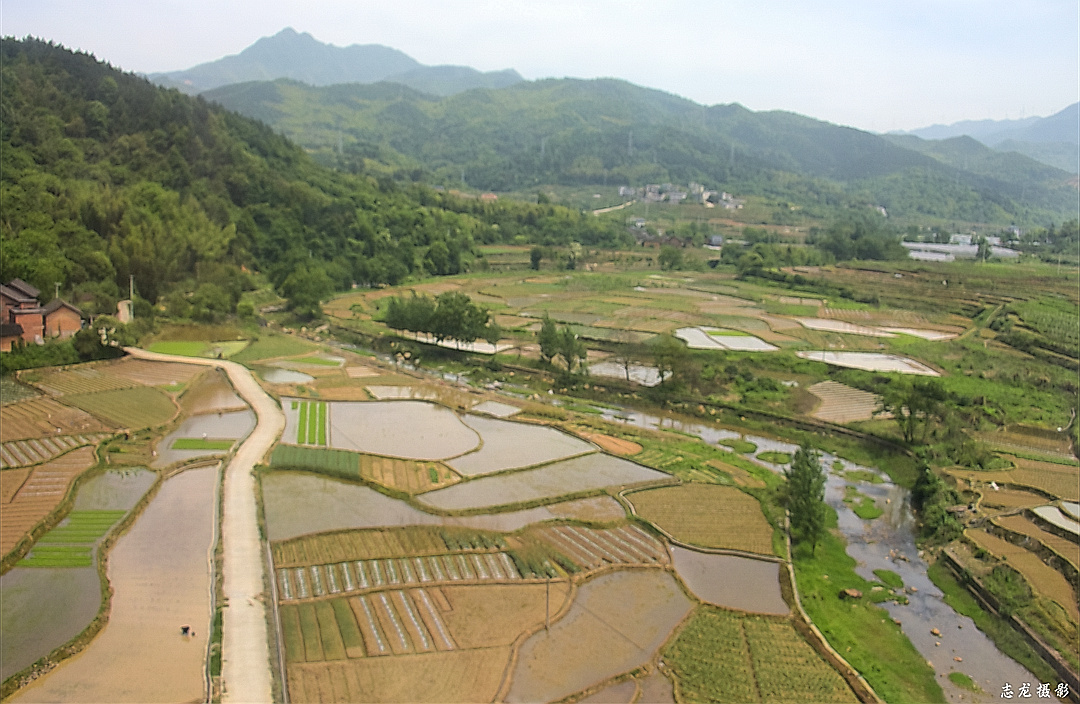 阡陌田园61志龙摄影