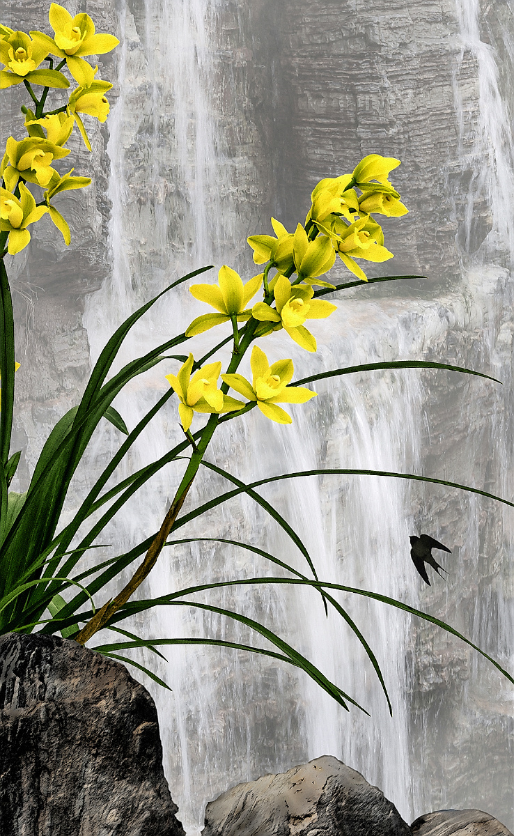 清气若兰61志龙摄影