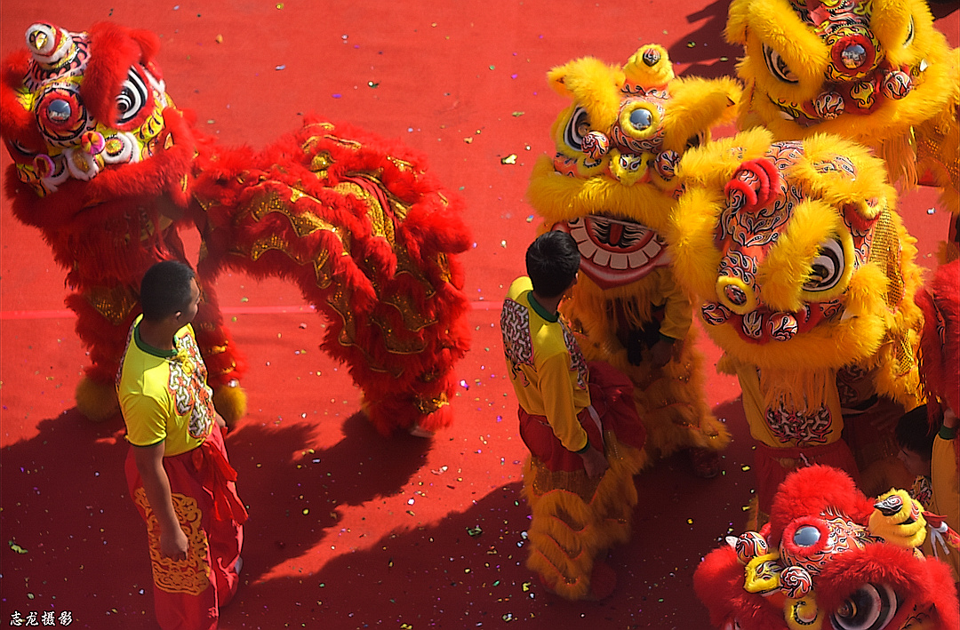 狮舞祥瑞61志龙摄影