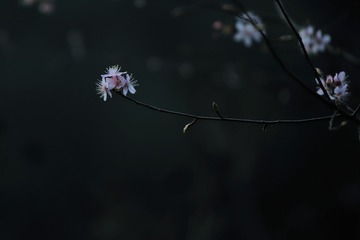 1659125