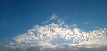 Optional("CC882A59-690F-4323-8FD6-D4782C1AFE2D/L0/001")