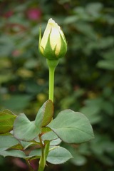 P1020134