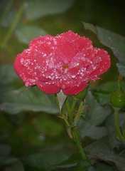 P1020259x