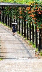 缀满鲜花的走廊和行人。
