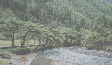 大山下的小溪