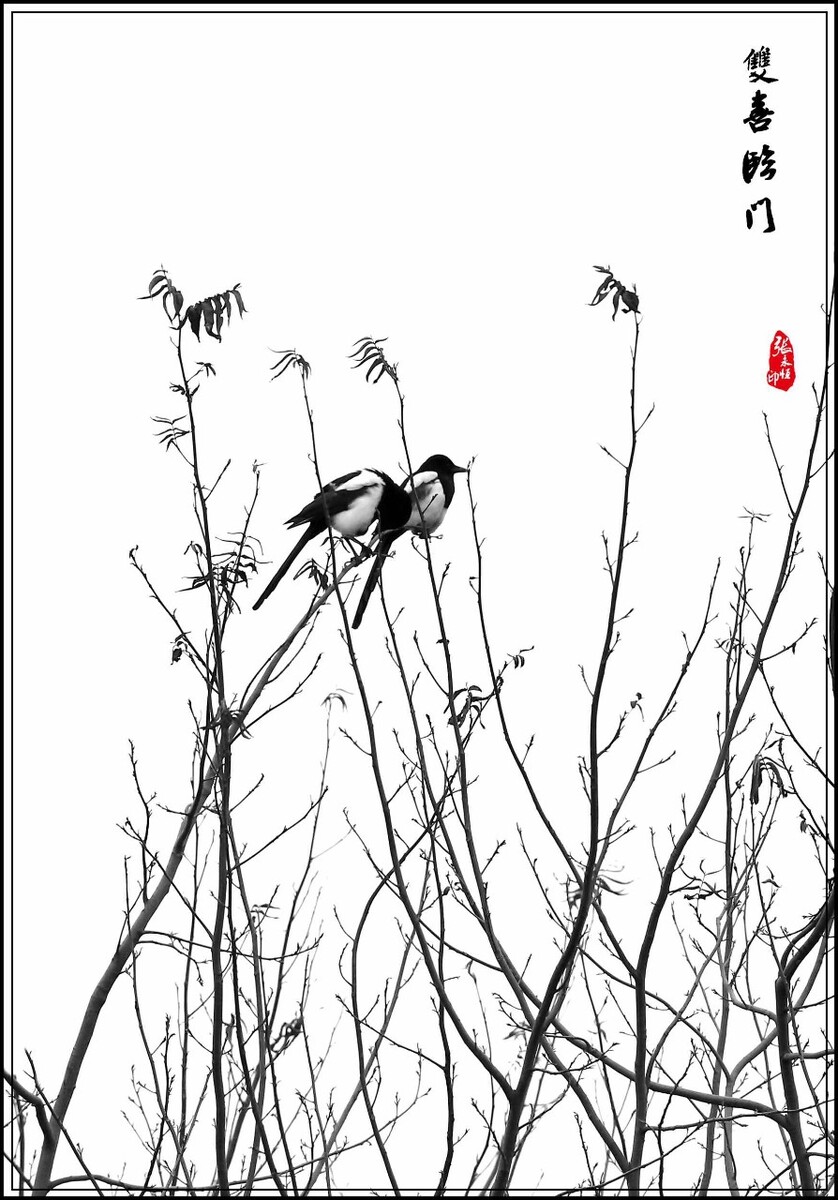 凡人老张