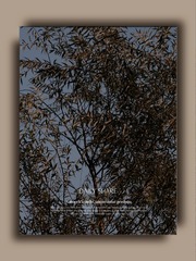 E2CA6818-6ABE-48CA-A12F-A0CA4C0DA6FB/L0/001