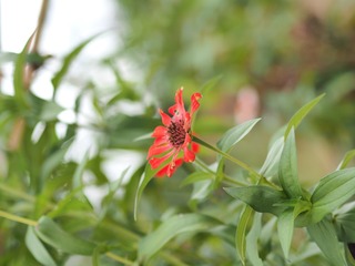 P9150343