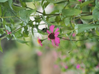 P9150344