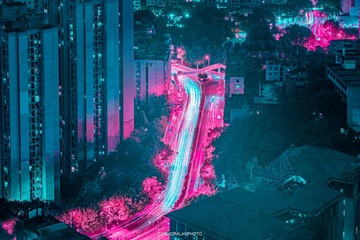2614416