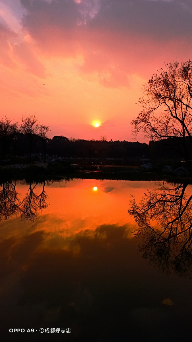 黄昏夕阳下 - 成都郑志忠 - 图虫