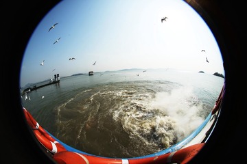 mmexport1553437718317