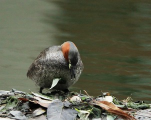 CK8O3675_