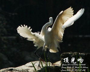 CK8O3801_
