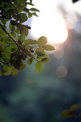 DSC_0169 (2)