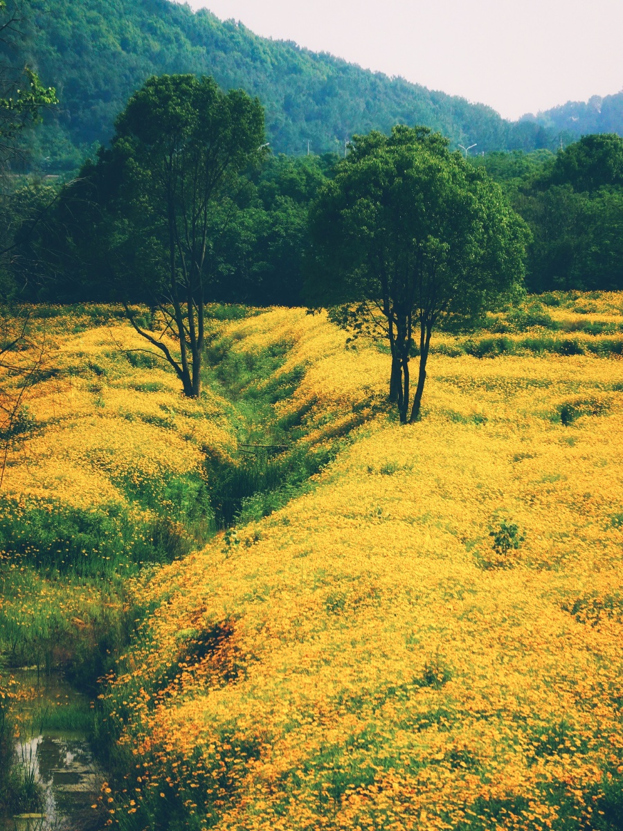 武汉光谷 - 发现秘境 - 图虫