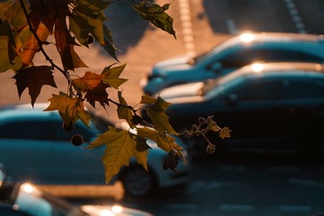 A8C16272-EC43-40AB-8B77-EA2F012E31D7/L0/001