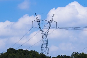 56616