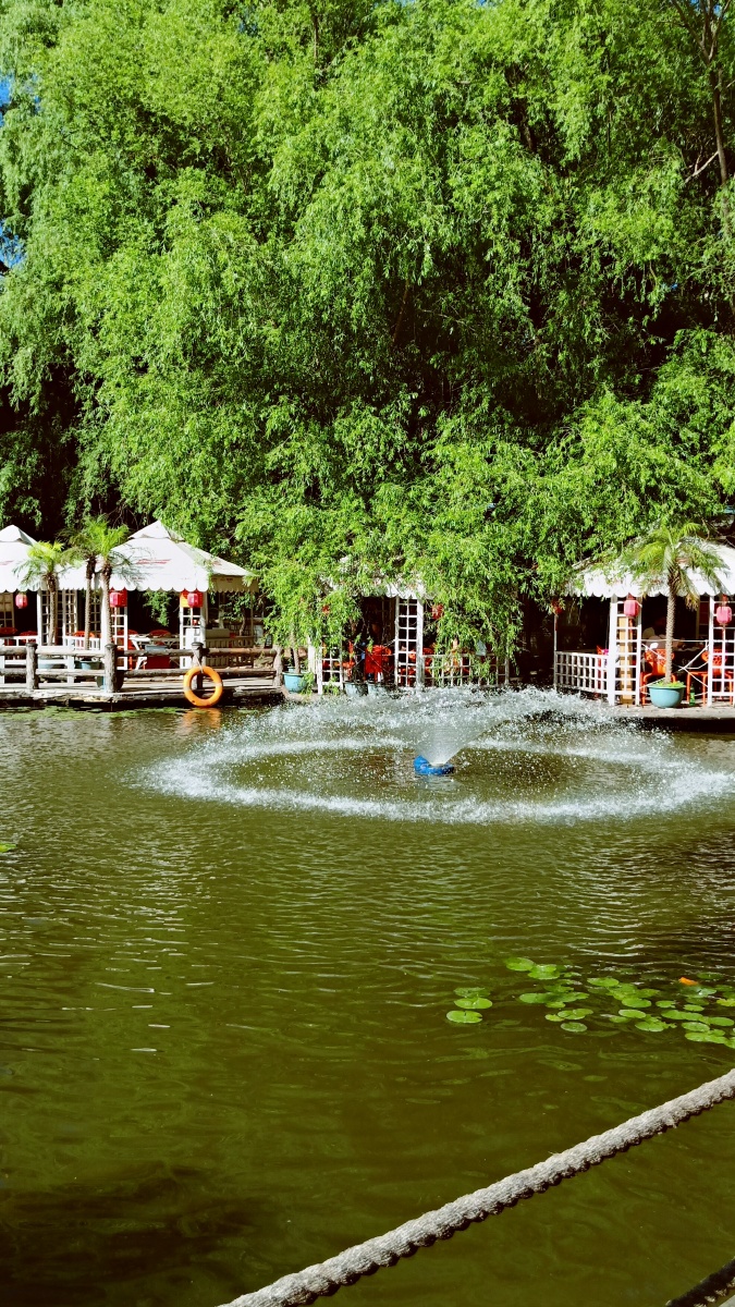 长春大鹅岛风景拍