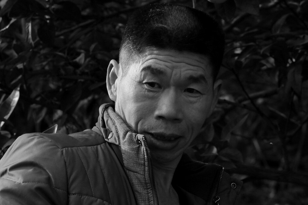 军营村的老陈，热情地摘他家的橙子给我们吃