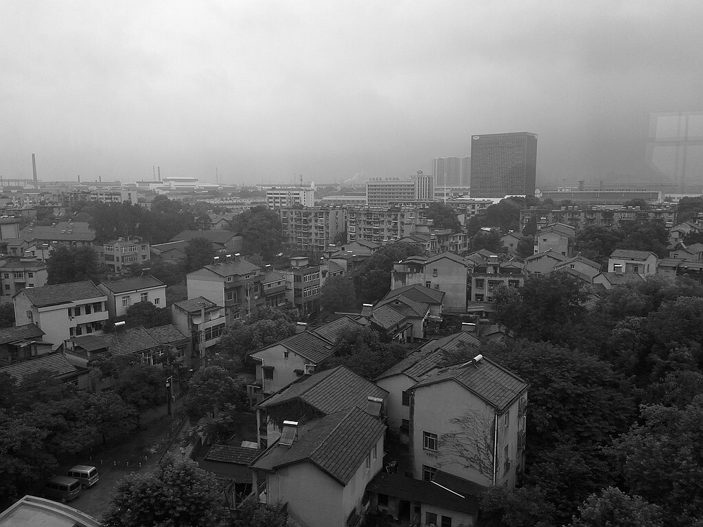 武东