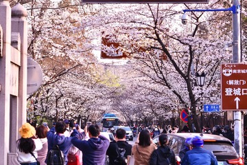 DSC_8488 (1)