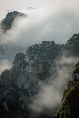 1000035832