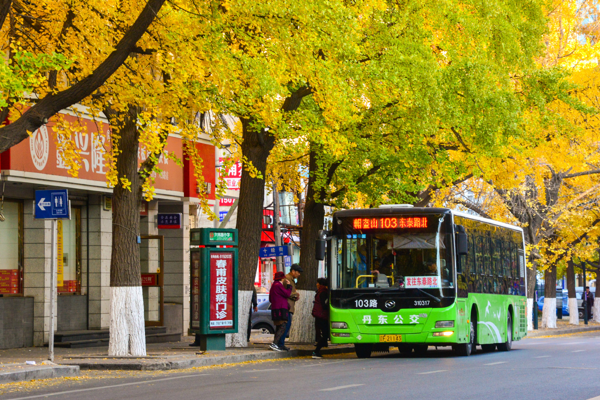 2019丹东公交刚刚开号图片陆续补齐中之后基本会与微博绿洲同步发表