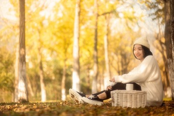 银杏树下