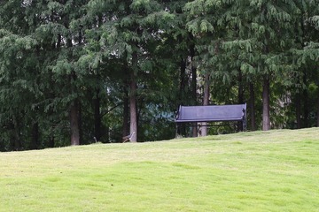 991263