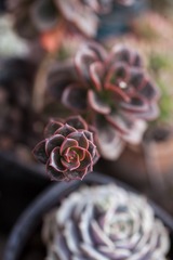 130916